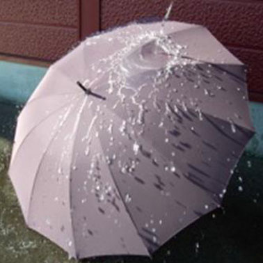 日本制“不会湿的雨伞” 每把1500元人民币