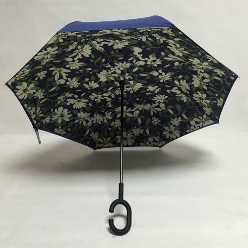 3000,多年,雨伞,的,进化,完全,史,雨伞,已经, 3000,多年,雨伞,的,进化,完全,史,雨伞,已经,
